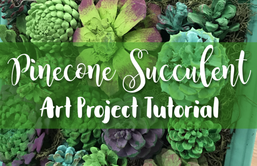 Pinecone succulent garden art project - age appropriate craft for older sped students!