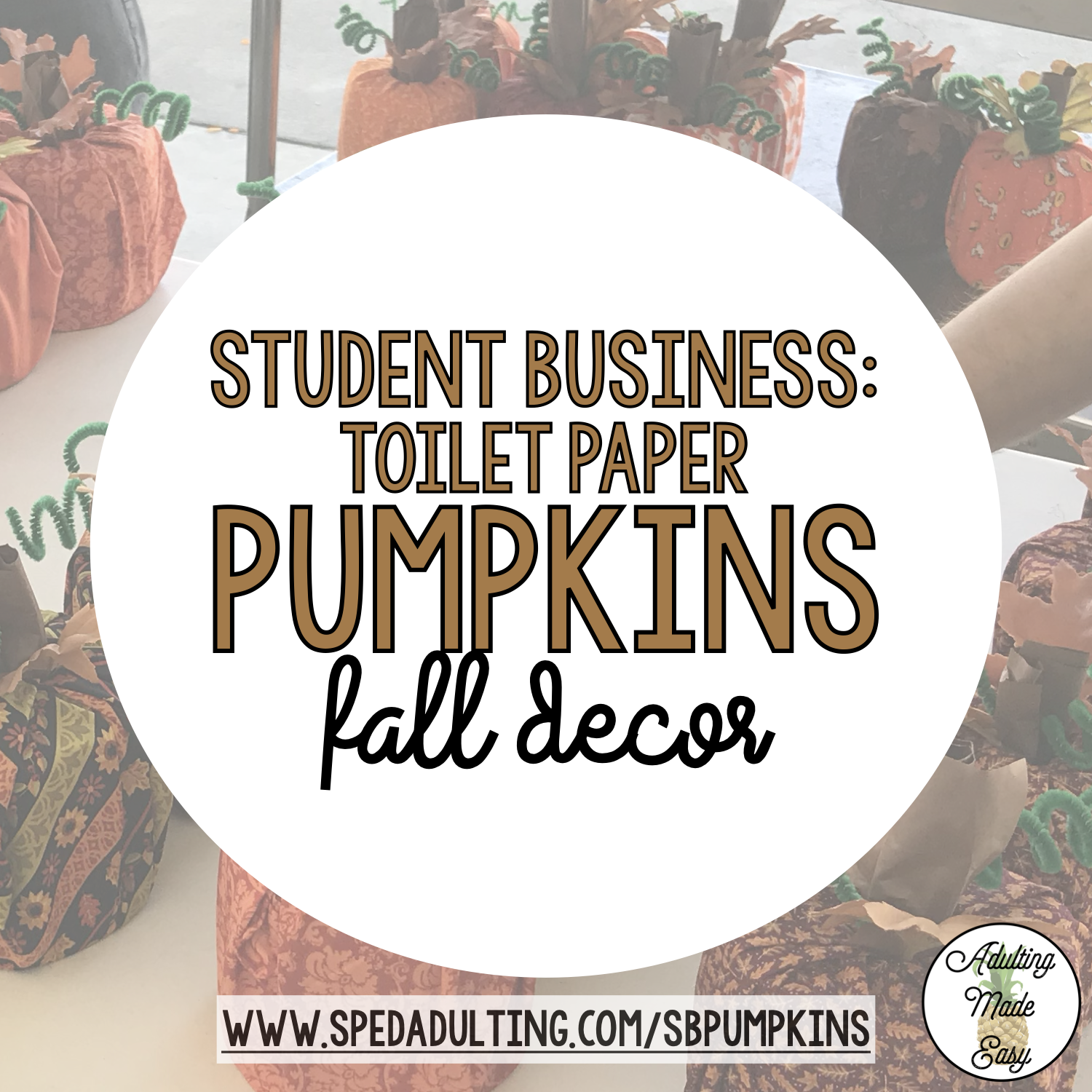 Classroom Student Business: Toilet Paper Pumpkins Fall Decor