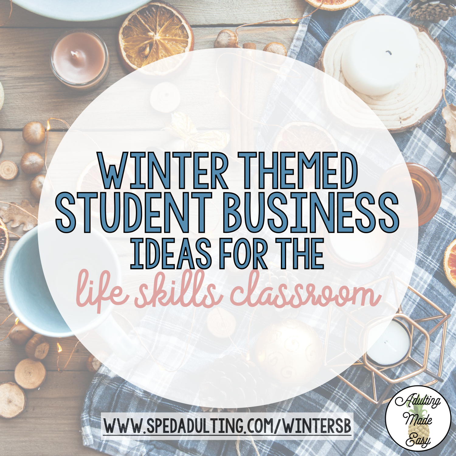 BLOG: Winter themed student business ideas for the life skills classroom